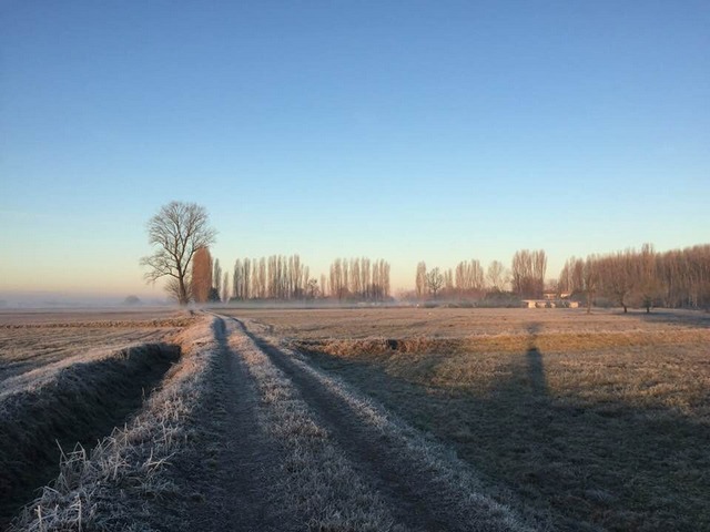 Pianura inverno - foto Fabrizio Tassi